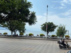 -野菌皇海景野生菌火锅(滨海大道店)