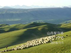 -山丹皇家马场