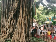 -东风公园