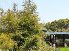 -悦禧耕岛酒店·指月坞餐厅·旺山特色农家乐