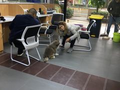 -联合动物医院(光谷诊疗中心)