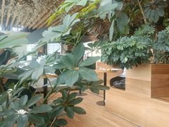 -Seesaw Coffee(朝阳大悦城店)
