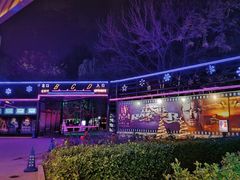 -枫花园汽车电影院(朝阳公园店)