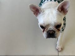 -怪兽屋·羊驼·猫咖·狗咖(俊华广场店)