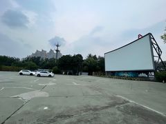 -枫花园汽车电影院(朝阳公园店)