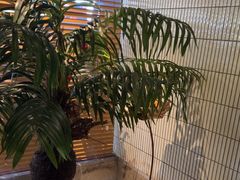 -涟LIAN·泰式按摩·MASSAGE·SPA(华强北店)
