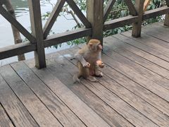 -黔灵山公园