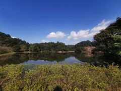 -广州市石门国家森林公园