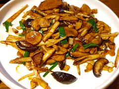 橄榄油炒三种蘑菇-必点海鲜·鲅鱼水饺(鞍山西道店)