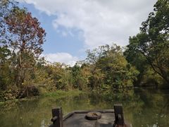 -西溪国家湿地公园