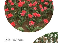 -骏途旅游