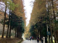 -山王坪喀斯特国家生态公园