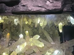 -湖南省地质博物馆