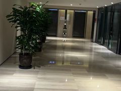 -都江堰中心国际酒店
