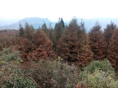 -山王坪喀斯特国家生态公园