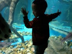 -多彩贵州城极地海洋世界