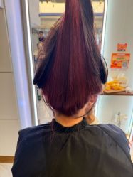-镁连社·美联社