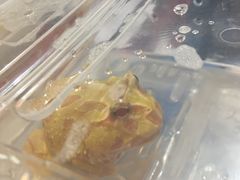 -蛙麻蛙辣炭火蛙锅(南环大街店)