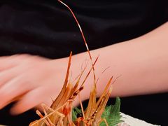 -Sushi Hanzo半藏(天环广场店)