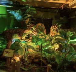 -恐龙探索乐园(磁器口店)