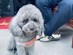 -谐和贝康宠物医院24小时·宠保定点(急重症转诊中心)
