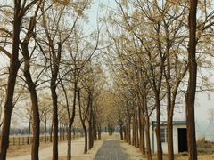 -汉长安城未央宫国家考古遗址公园