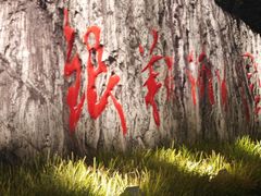 -南翔镇银翔湖公园