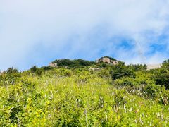-白草畔自然风景区