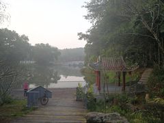 -金山植物公园