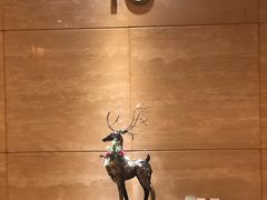 -武汉帝盛酒店(江汉路步行街店)