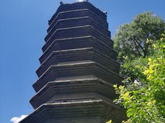 -正阳书局(西四南大街店)