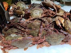 -加餐海鲜自助(宝龙一城店)