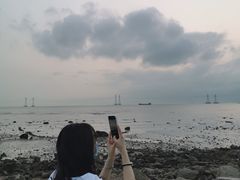 -宝安西湾红树林湿地公园