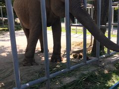 -西安秦岭野生动物园