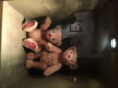 iphone_upload_pic-济州岛泰迪熊博物馆