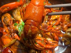油焖小龙虾拼牛蛙-鹤江桥·红油牛肉粉(SKP店)