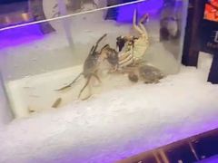 -加餐海鲜自助(宝龙一城店)