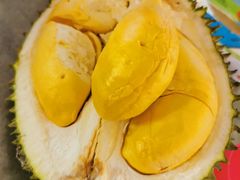 -都念榴莲·城市榴莲