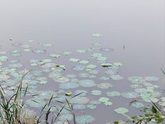 -北坞公园