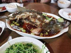 -沈记菜馆(酒仙桥路店)
