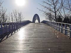 -大兴滨河森林公园