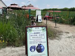 -南京枫彩漫城