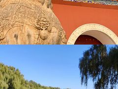 -北陵公园
