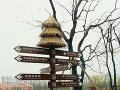 -上海长兴岛郊野公园