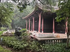 -顺峰山公园