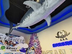 -重庆欢乐海底世界