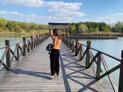 -溱湖国家湿地公园