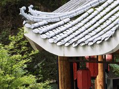-金鸡山公园