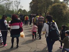 -梁鸿国家湿地公园
