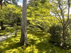 -三千院